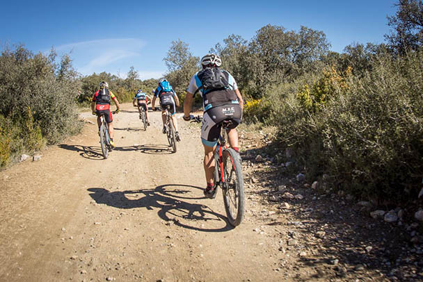 Lloguer de bicicletes